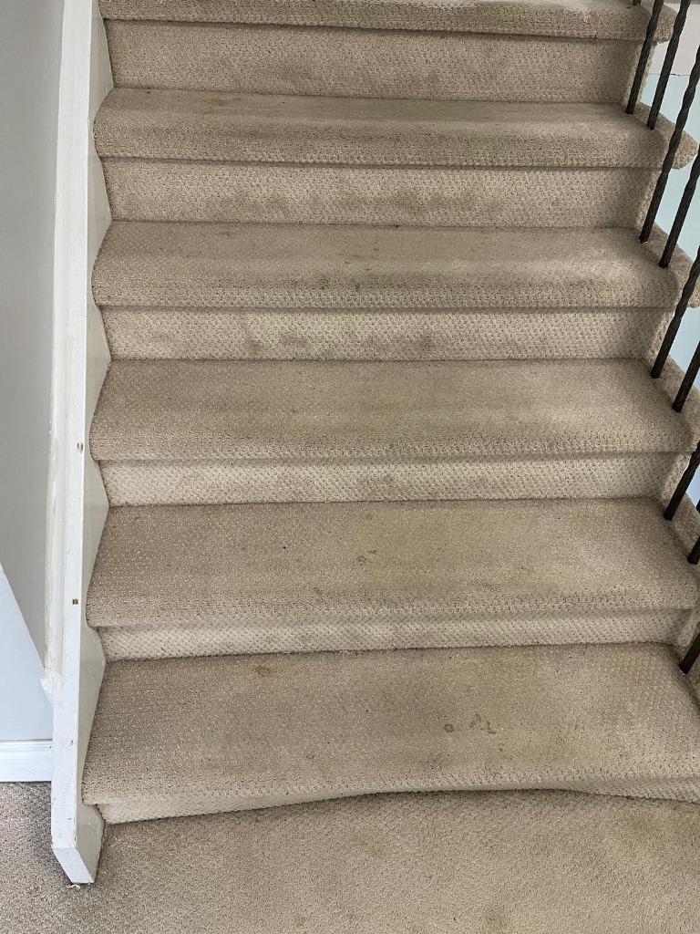 Before Staircase Restoration