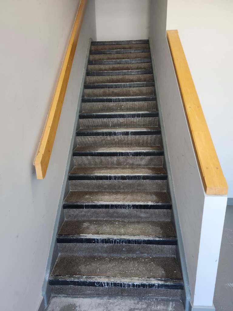 Before Deep Stain Removal