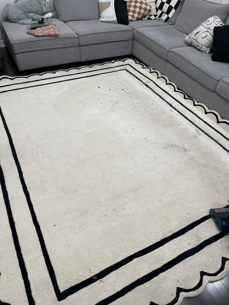 Before Area Rug Revival